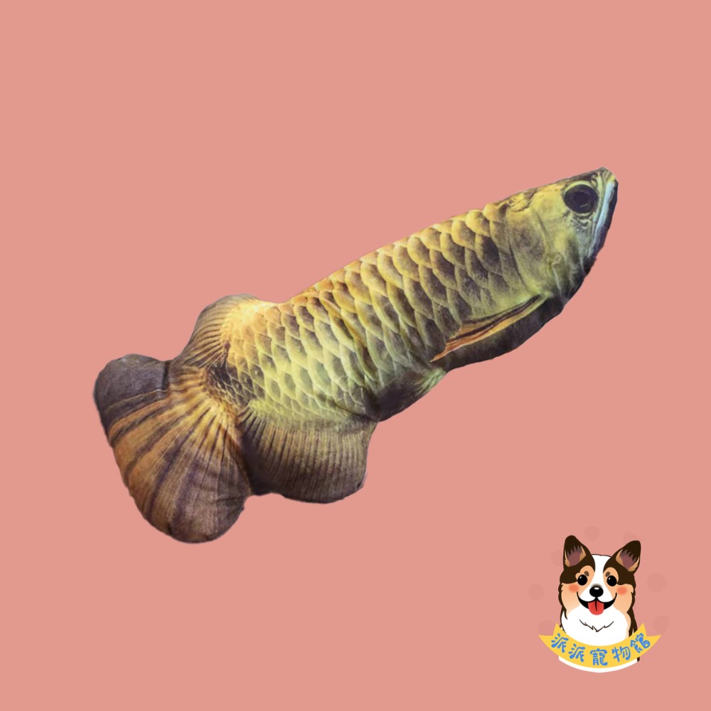 🐠貓薄荷魚🐠 貓玩具 貓咪玩具 寵物玩具 幼貓玩具 貓薄荷貓草玩具仿真玩具貓草魚貓薄荷玩具毛絨魚小貓抱枕娃娃貓草包-規格圖9