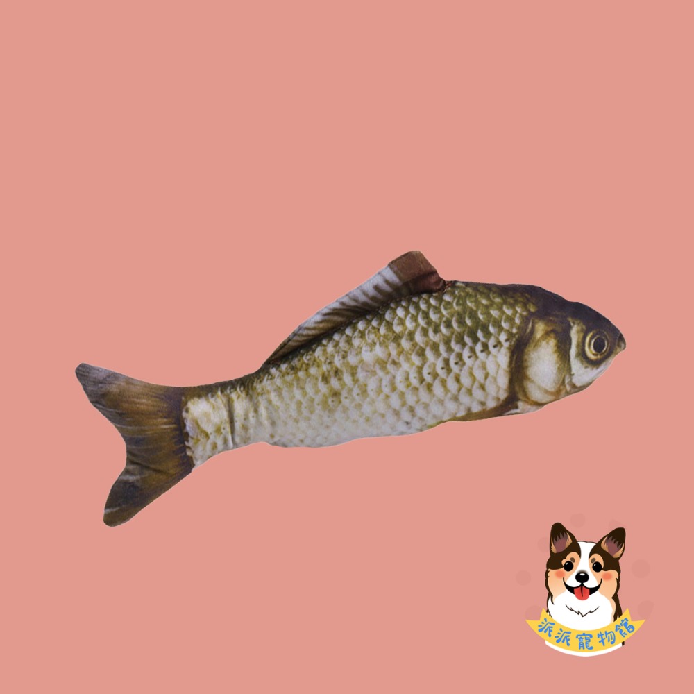 🐠貓薄荷魚🐠 貓玩具 貓咪玩具 寵物玩具 幼貓玩具 貓薄荷貓草玩具仿真玩具貓草魚貓薄荷玩具毛絨魚小貓抱枕娃娃貓草包-規格圖9