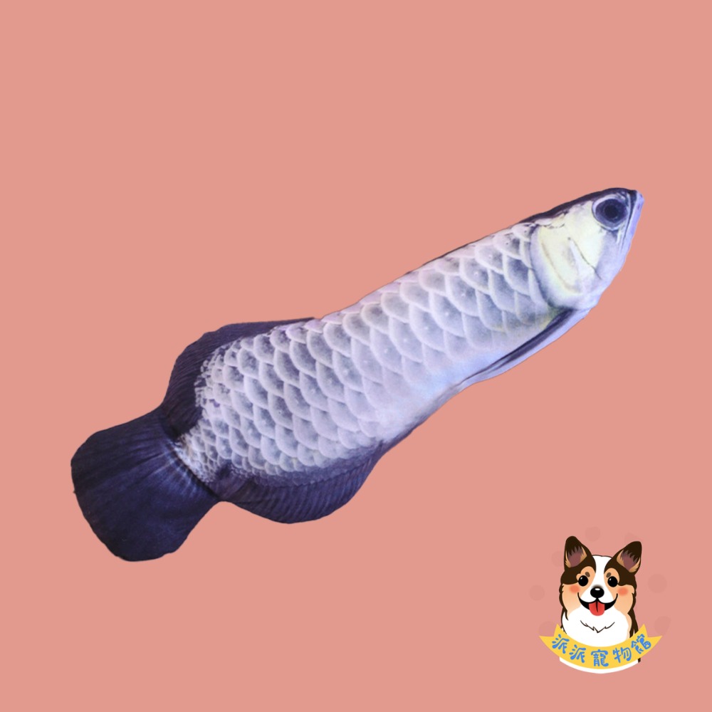 🐠貓薄荷魚🐠 貓玩具 貓咪玩具 寵物玩具 幼貓玩具 貓薄荷貓草玩具仿真玩具貓草魚貓薄荷玩具毛絨魚小貓抱枕娃娃貓草包-規格圖9