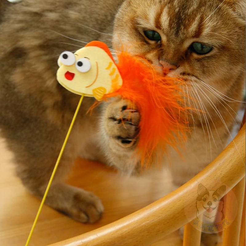 🐟小魚逗貓棒🐟 逗貓棒 貓玩具貓咪玩具寵物玩具逗貓逗貓玩具貓玩具貓幼貓豆貓棒貓的玩具貓咪小貓玩具懶人貓鈴鐺羽毛-細節圖5