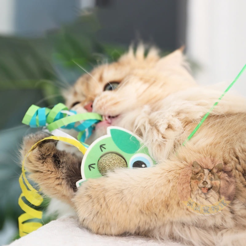 盪呀盪沒煩惱😗 彈力盪鞦韆玩具 貓薄荷玩具蟲癭果貓薄荷球貓玩具貓咪玩具寵物玩具逗貓逗貓玩具貓幼貓玩具貓的玩具貓咪小貓-細節圖4