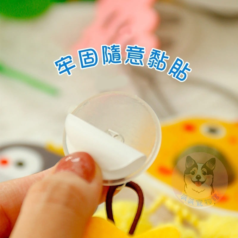 盪呀盪沒煩惱😗 彈力盪鞦韆玩具 貓薄荷玩具蟲癭果貓薄荷球貓玩具貓咪玩具寵物玩具逗貓逗貓玩具貓幼貓玩具貓的玩具貓咪小貓-細節圖5