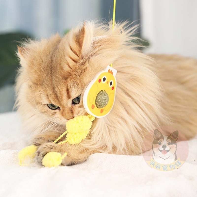 盪呀盪沒煩惱😗 彈力盪鞦韆玩具 貓薄荷玩具蟲癭果貓薄荷球貓玩具貓咪玩具寵物玩具逗貓逗貓玩具貓幼貓玩具貓的玩具貓咪小貓-細節圖6