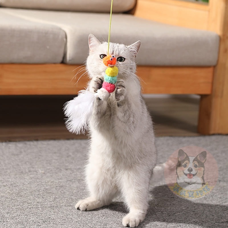 盪呀盪沒煩惱😗 彈力盪鞦韆玩具 貓薄荷玩具蟲癭果貓薄荷球貓玩具貓咪玩具寵物玩具逗貓逗貓玩具貓幼貓玩具貓的玩具貓咪小貓-細節圖7