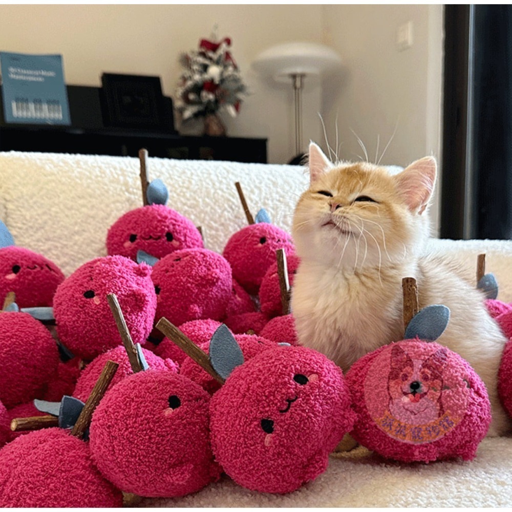 啃啃好舒壓៷>ᴗ<៷  木天蓼棒 木天蓼 貓草棒 貓磨牙貓草玩具貓薄荷逗貓棒貓草包貓玩具娃娃貓咪玩具寵物玩具橘貓小貓抱-細節圖11