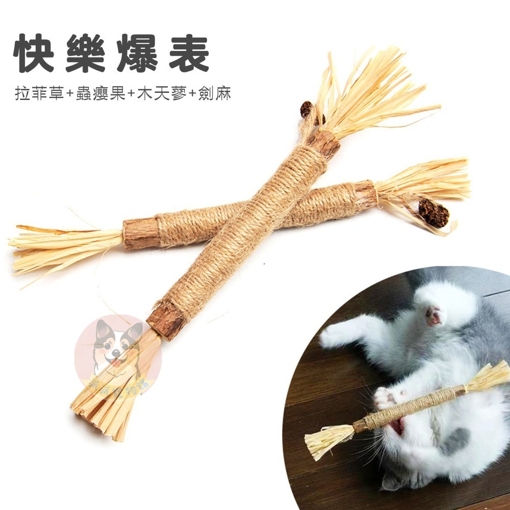 🍃木天蓼/貓薄荷系列🍃 木天蓼 貓薄荷 貓薄荷球蟲癭果拉菲草木天蓼棒貓草棒木天寥貓薄荷草貓草球貓磨牙貓玩具貓咪玩具-細節圖4