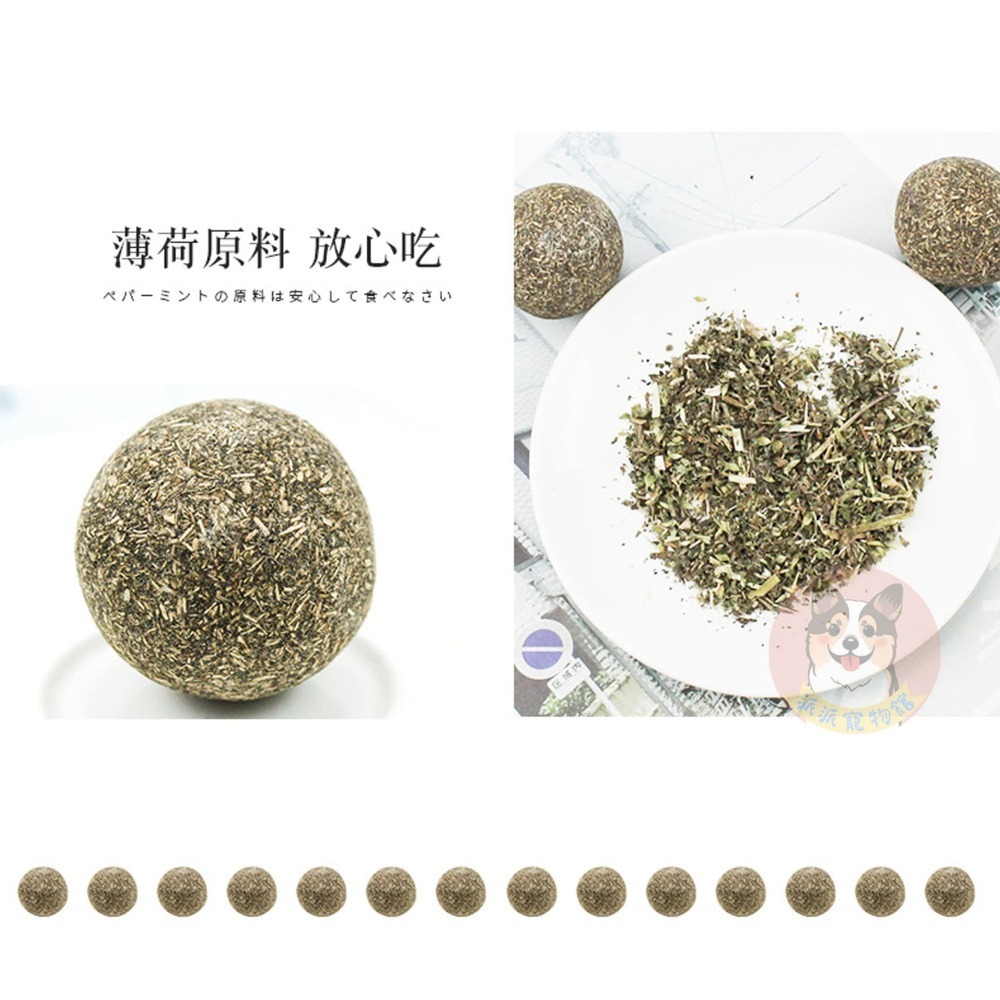 🍃木天蓼/貓薄荷系列🍃 木天蓼 貓薄荷 貓薄荷球蟲癭果拉菲草木天蓼棒貓草棒木天寥貓薄荷草貓草球貓磨牙貓玩具貓咪玩具-細節圖5