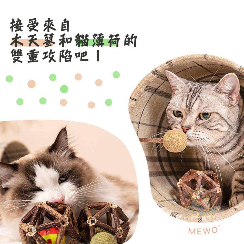 🍃木天蓼/貓薄荷系列🍃 木天蓼 貓薄荷 貓薄荷球蟲癭果拉菲草木天蓼棒貓草棒木天寥貓薄荷草貓草球貓磨牙貓玩具貓咪玩具-細節圖7