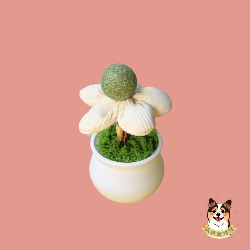 🍃木天蓼/貓薄荷系列🍃 木天蓼 貓薄荷 貓薄荷球蟲癭果拉菲草木天蓼棒貓草棒木天寥貓薄荷草貓草球貓磨牙貓玩具貓咪玩具-規格圖9