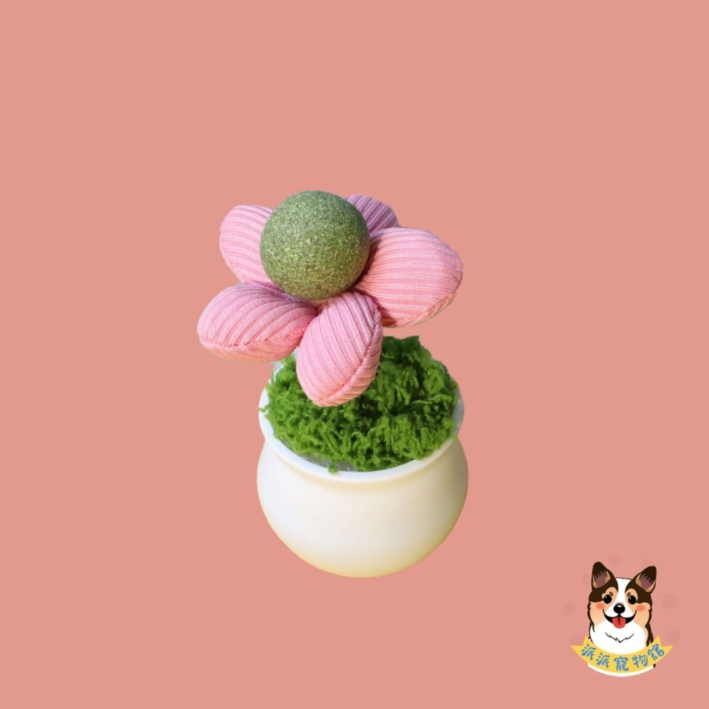 🍃木天蓼/貓薄荷系列🍃 木天蓼 貓薄荷 貓薄荷球蟲癭果拉菲草木天蓼棒貓草棒木天寥貓薄荷草貓草球貓磨牙貓玩具貓咪玩具-規格圖9