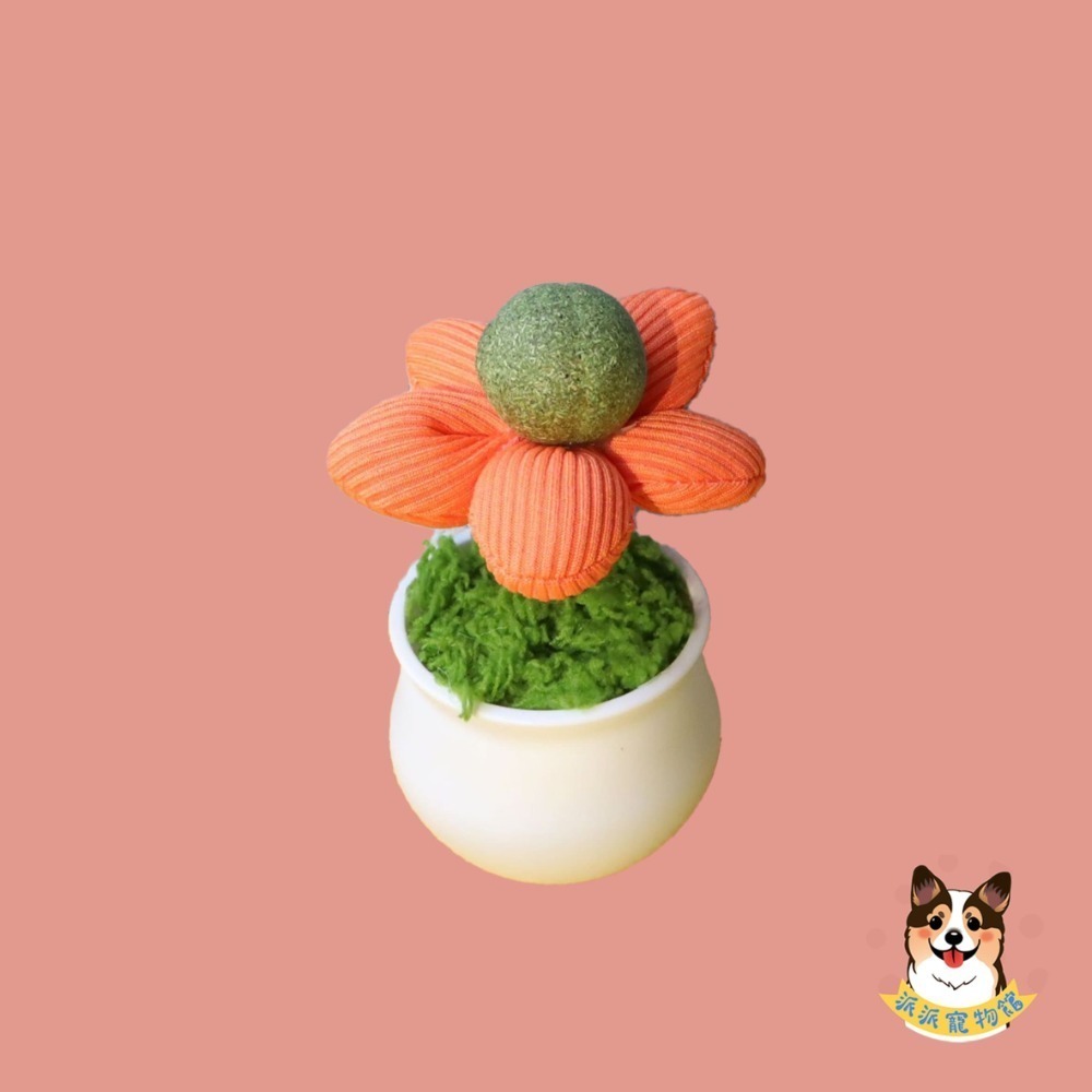 🍃木天蓼/貓薄荷系列🍃 木天蓼 貓薄荷 貓薄荷球蟲癭果拉菲草木天蓼棒貓草棒木天寥貓薄荷草貓草球貓磨牙貓玩具貓咪玩具-規格圖9