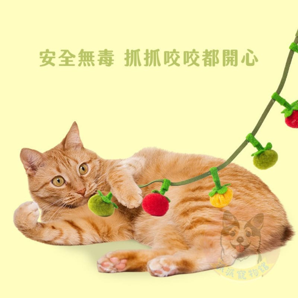 好柿發生🍊🍊 串串小柿子 貓咪小玩具 貓玩具 貓草玩具 貓抓寵物幼貓毛絨球鈴鐺球貓逗貓小貓貓玩具球貓薄荷貓草包貓咪-細節圖3