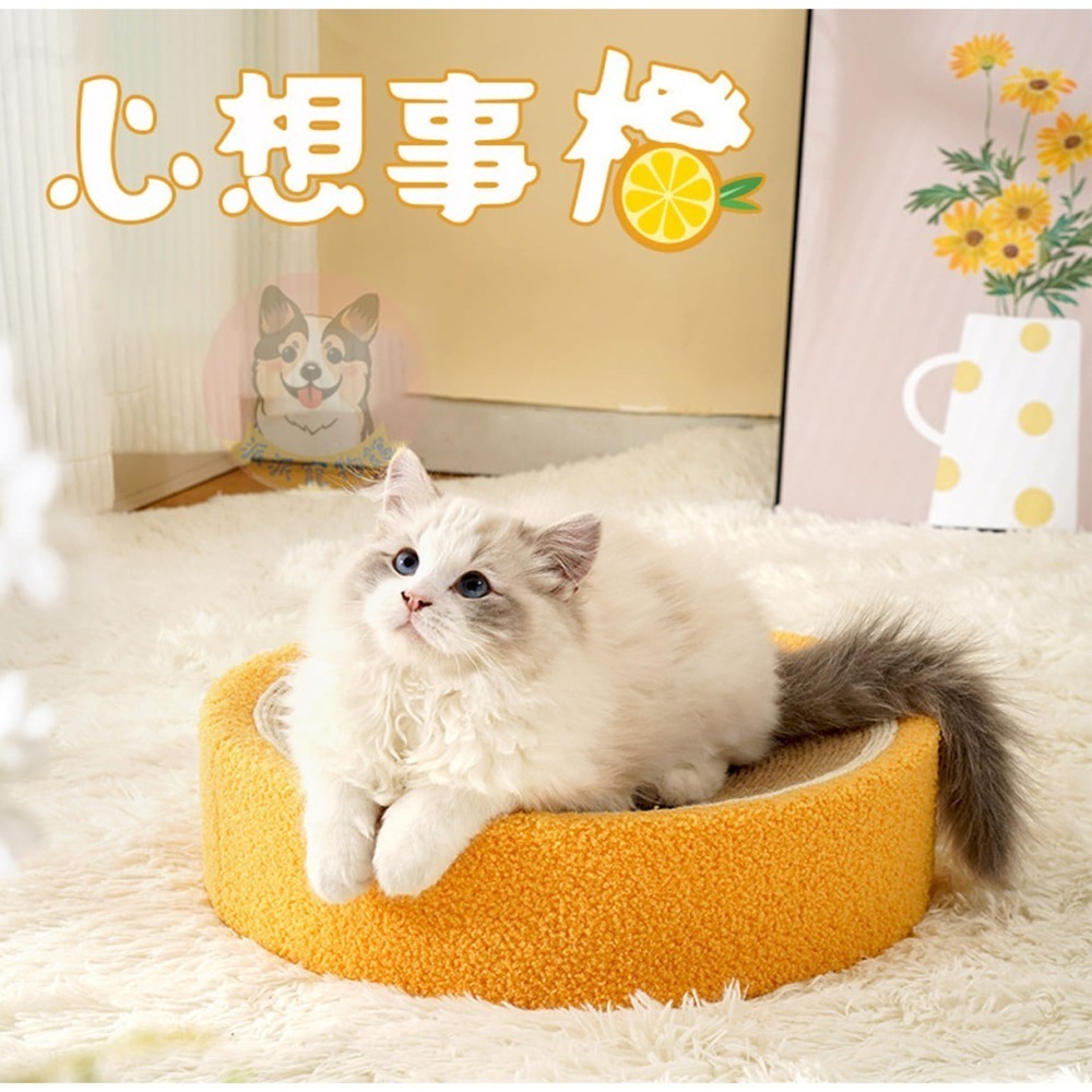 可抓可睡  ₍ᐢ˶› ̫ ‹˶ᐢ₎  貓抓窩 劍麻貓抓板貓抓板貓抓碗圓形貓抓板貓窩貓抓劍麻貓抓盆麻繩貓抓墊貓抓板窩貓爪-細節圖8