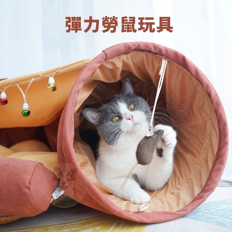 可折疊貓隧道☕️ 貓玩具 寵物玩具 貓隧道 貓咪隧道 貓窩 貓咪玩具 貓床 寵物隧道 貓用品 幼貓玩具 小貓 貓咪用品-細節圖3