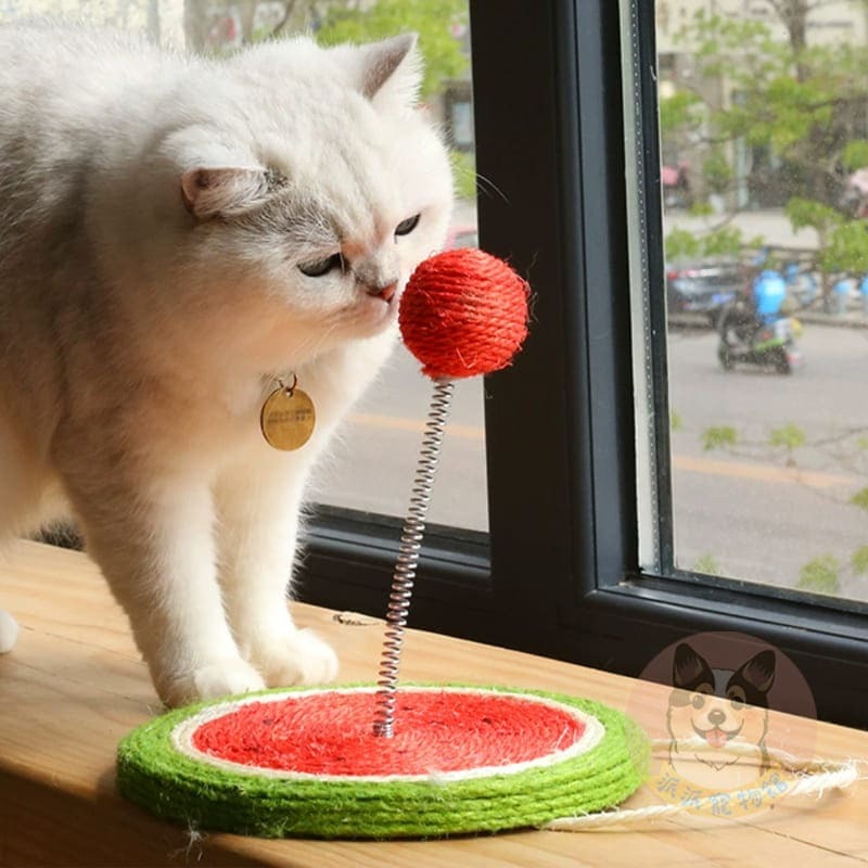 ☁️彈簧貓抓球☁️ 貓抓球 貓抓板 劍麻墊 貓抓 貓爪板 彈簧球麻繩抓板貓玩具貓咪玩具寵物玩具牆壁裝飾幼貓小貓玩具用品-細節圖5