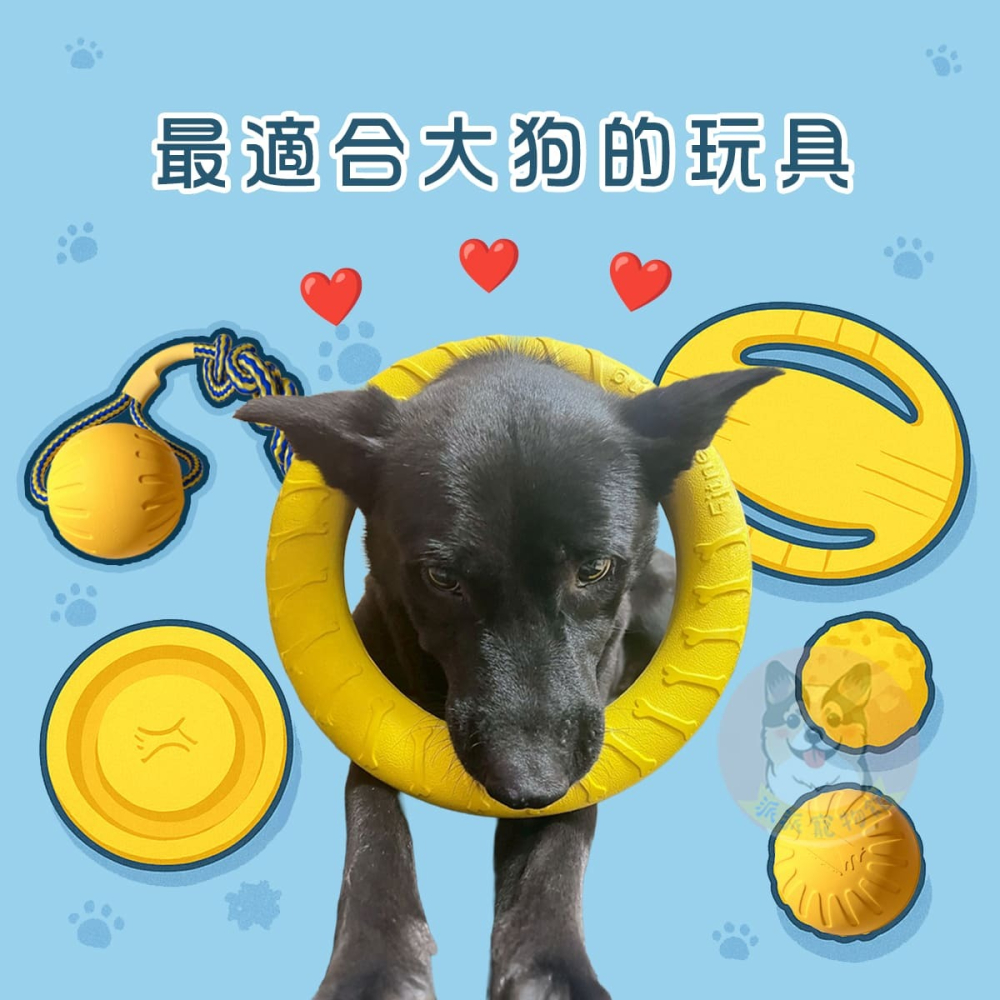 EVA💛黃色狗狗玩具💛 狗玩具 狗狗玩具 寵物玩具 大狗玩具 狗飛盤 寵物飛盤戶外互動玩具中大型犬黃金獵犬邊境牧羊-細節圖3