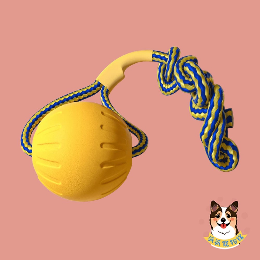 EVA💛黃色狗狗玩具💛 狗玩具 狗狗玩具 寵物玩具 大狗玩具 狗飛盤 寵物飛盤戶外互動玩具中大型犬黃金獵犬邊境牧羊-規格圖7