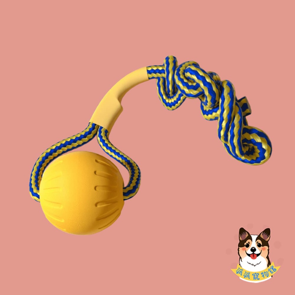 EVA💛黃色狗狗玩具💛 狗玩具 狗狗玩具 寵物玩具 大狗玩具 狗飛盤 寵物飛盤戶外互動玩具中大型犬黃金獵犬邊境牧羊-規格圖7