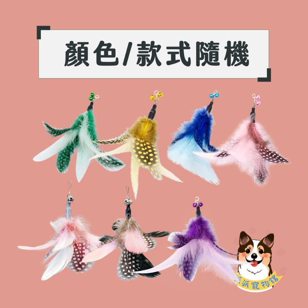 A11-波點羽毛