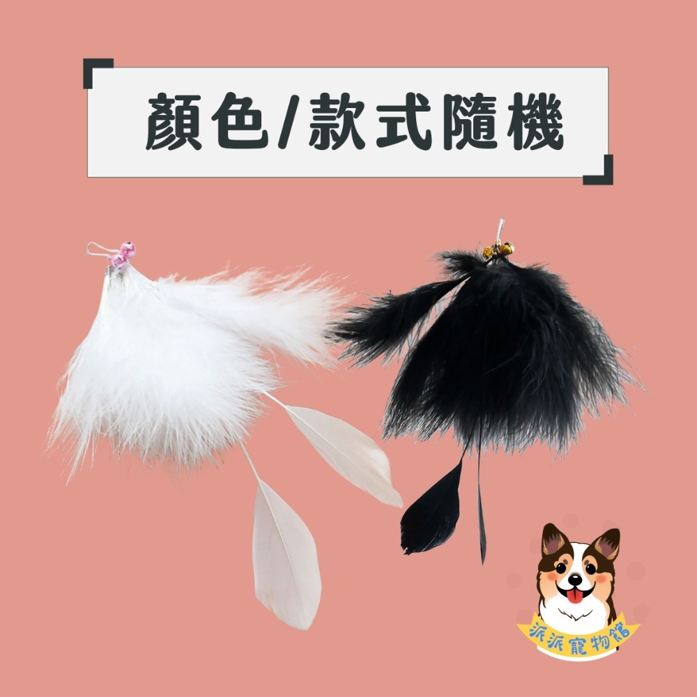 A3-天鵝