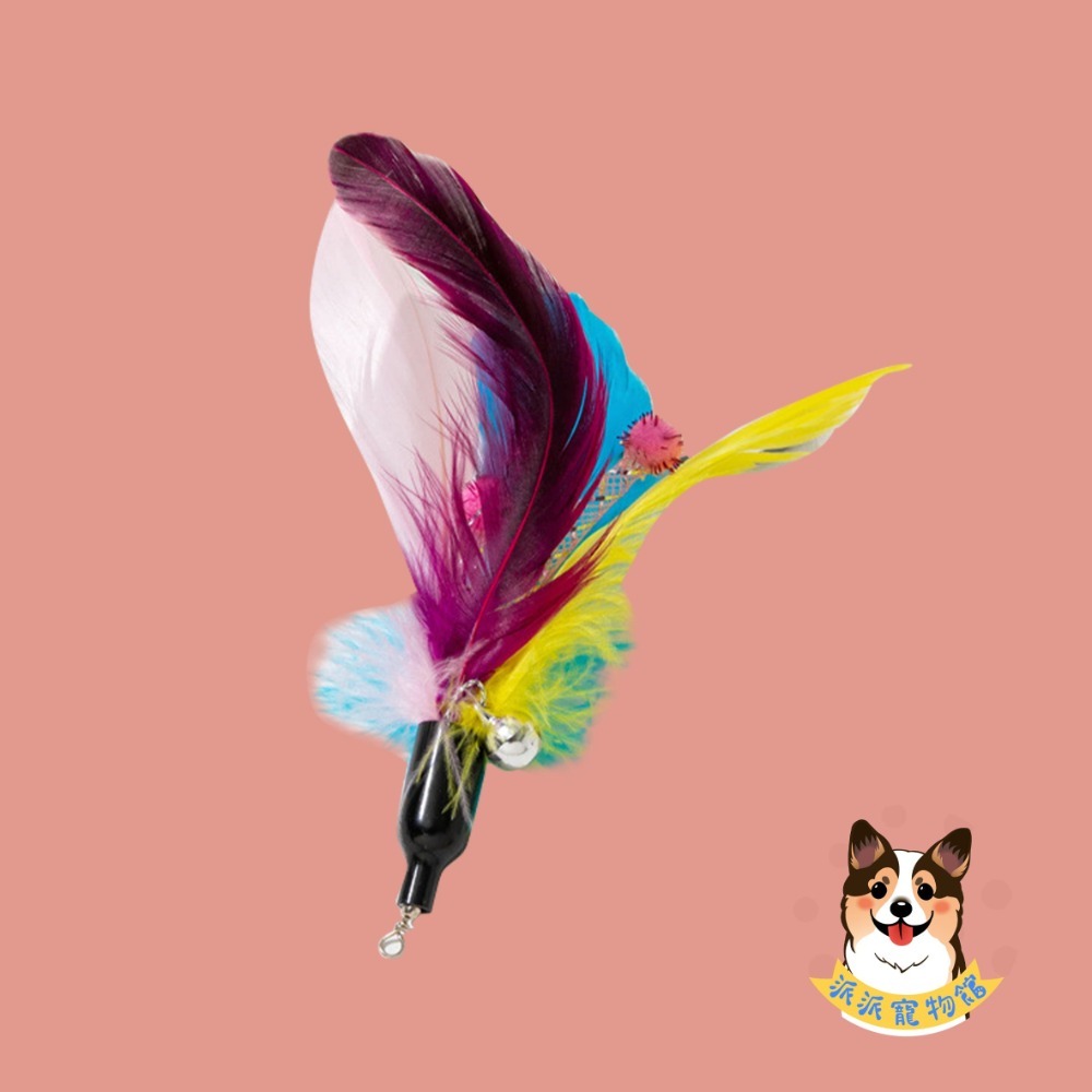 A24-花芯羽毛