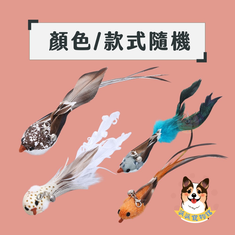 A42-仿真羽毛鳥