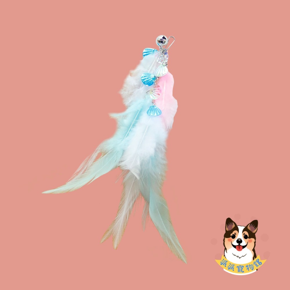 A7-流光幻彩貝殼羽毛