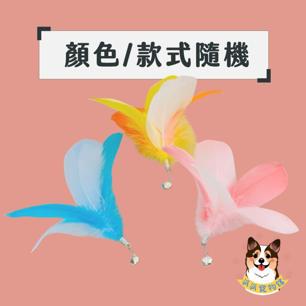 A9-亮色羽毛