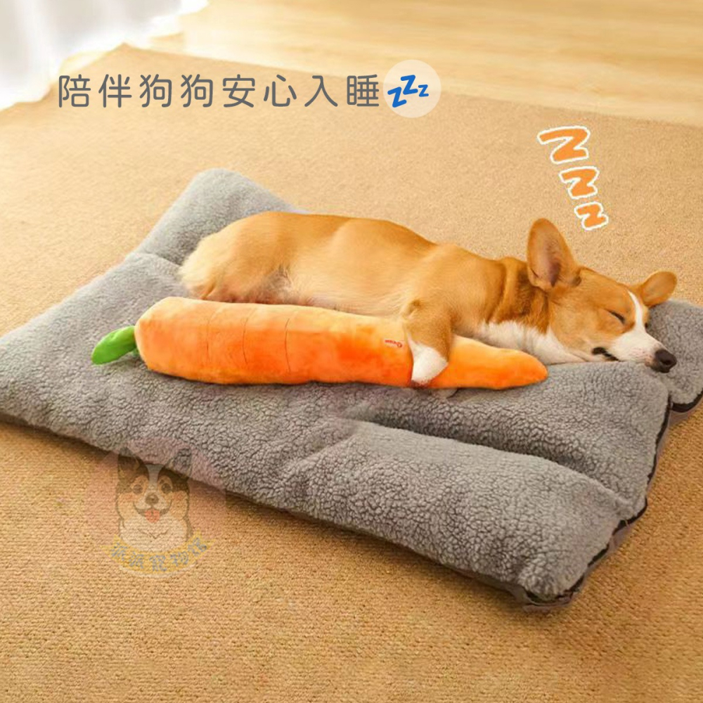 🥕巨無霸紅蘿蔔🥕 狗狗玩具 寵物娃娃 大狗玩具 狗玩具 狗狗大玩具 寵物玩具 發聲玩具 幼犬玩具寵物發聲響紙啾啾玩-細節圖3