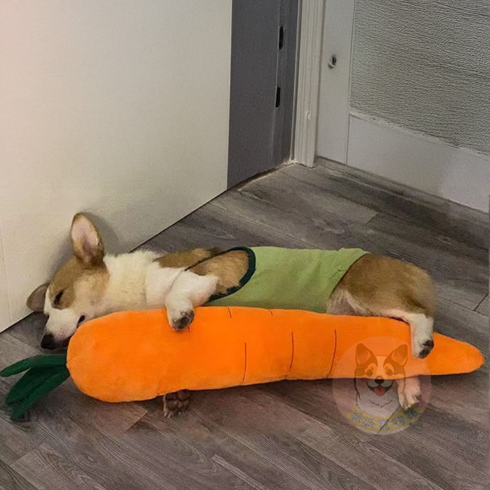 🥕巨無霸紅蘿蔔🥕 狗狗玩具 寵物娃娃 大狗玩具 狗玩具 狗狗大玩具 寵物玩具 發聲玩具 幼犬玩具寵物發聲響紙啾啾玩-細節圖4