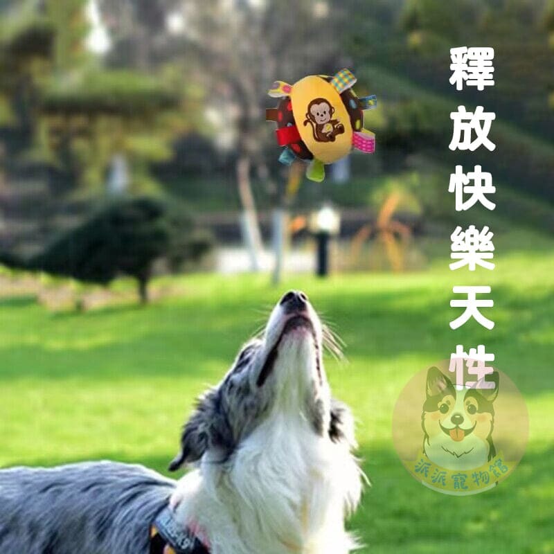 ⚽️狗狗互動球⚽️ 狗玩具 狗狗玩具 寵物玩具 狗狗玩具球 狗狗球 互動球 寵物玩具球 大狗大型犬玩具 寵物球狗玩具球-細節圖3