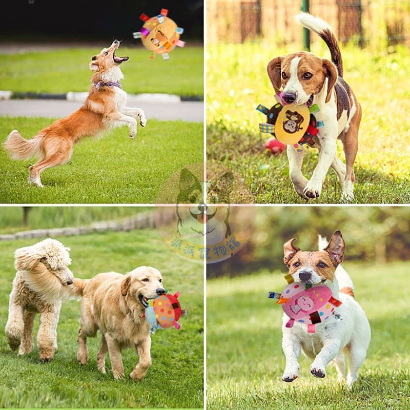 ⚽️狗狗互動球⚽️ 狗玩具 狗狗玩具 寵物玩具 狗狗玩具球 狗狗球 互動球 寵物玩具球 大狗大型犬玩具 寵物球狗玩具球-細節圖4