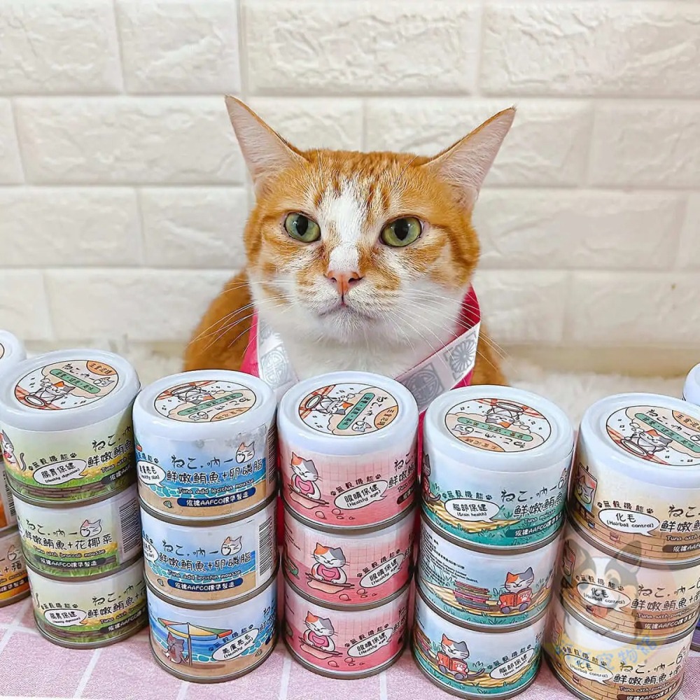 吶一口主食泥罐😻 全齡貓可食 | 幼貓罐 主食罐 肉泥罐 貓咪罐頭 無穀無膠機能主食 60g｜化毛腸胃保健皮毛亮麗-細節圖2