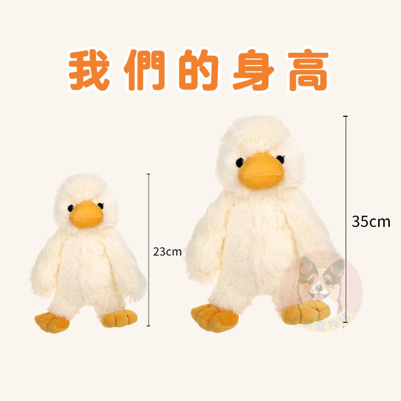 毛絨絨鴨子🦆 狗狗玩具 狗玩具 寵物玩具 幼犬玩具 啾啾玩具 發聲玩具 小狗玩具 鴨子玩具 毛絨玩具 大狗玩具寵物娃娃-細節圖4