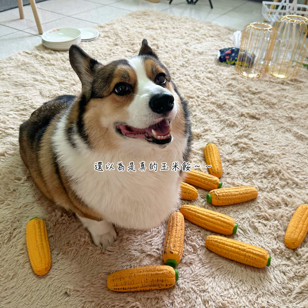 🌽烤玉米🌽 乳膠玩具 玉米玩具 狗玩具 啾啾玩具 發聲玩具 狗狗玩具 寵物玩具 玉米 仿真玩具磨牙狗狗小狗玩具幼犬-細節圖3