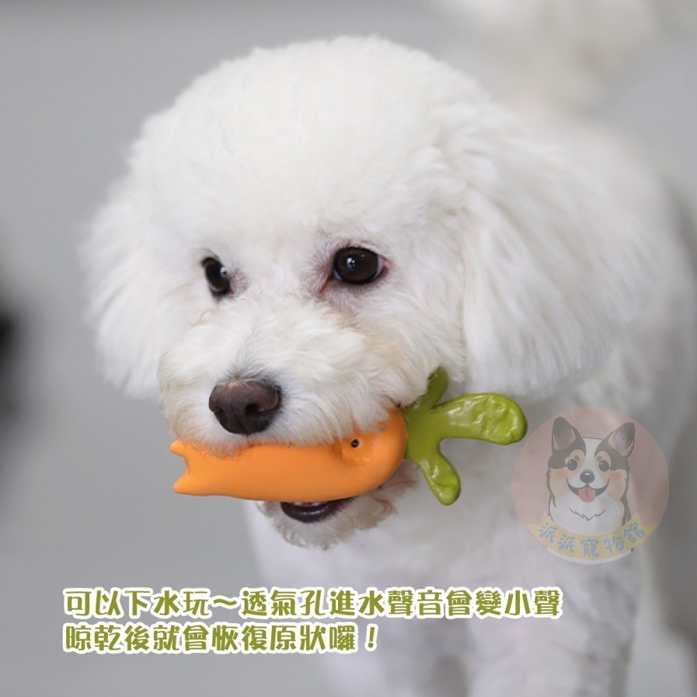 天然乳膠玩具🍡 乳膠玩具 啾啾玩具 狗玩具 幼犬玩具 狗狗玩具 寵物玩具 發聲玩具 狗狗 小狗玩具 小狗幼犬仿真玩具-細節圖4