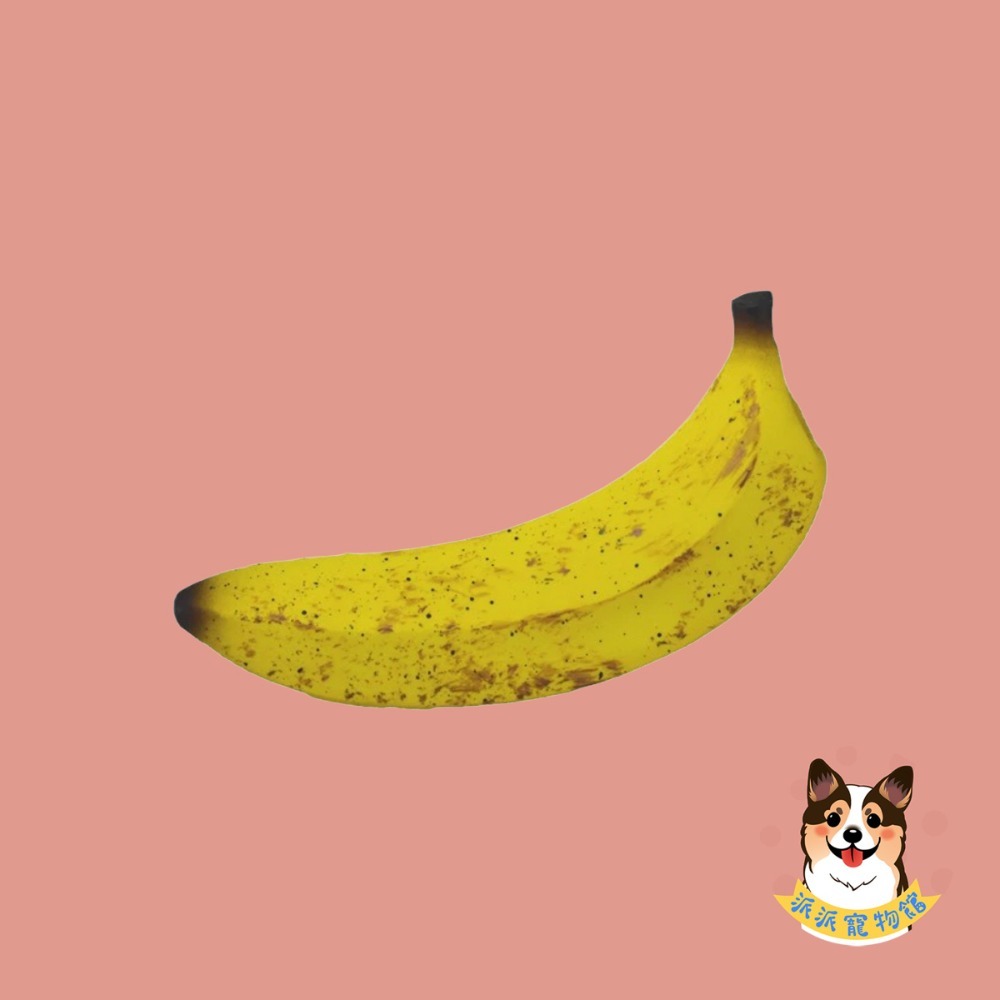 天然乳膠玩具🍡 乳膠玩具 啾啾玩具 狗玩具 幼犬玩具 狗狗玩具 寵物玩具 發聲玩具 狗狗 小狗玩具 小狗幼犬仿真玩具-規格圖8