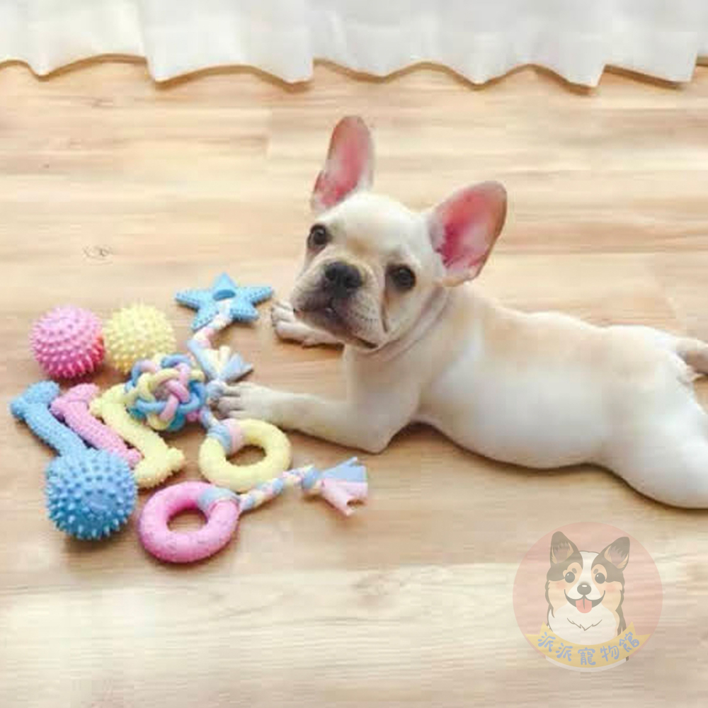 🦄️馬卡龍色✨ TPR玩具 狗狗玩具 磨牙玩具 寵物玩具 狗玩具 幼犬玩具 小狗玩具狗狗狗玩具球寵物玩具球狗啃咬玩具-細節圖3