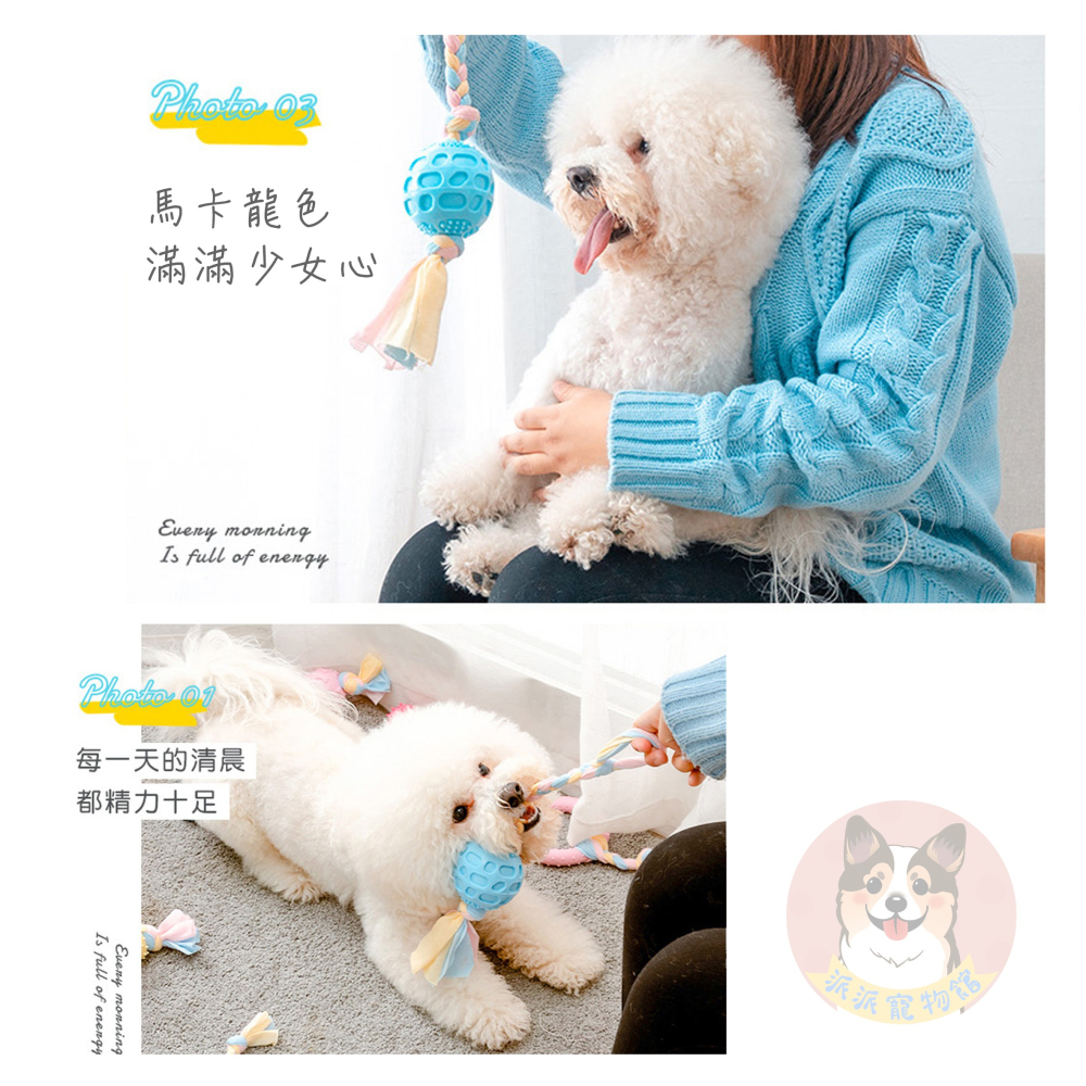 🦄️馬卡龍色✨ TPR玩具 狗狗玩具 磨牙玩具 寵物玩具 狗玩具 幼犬玩具 小狗玩具狗狗狗玩具球寵物玩具球狗啃咬玩具-細節圖4