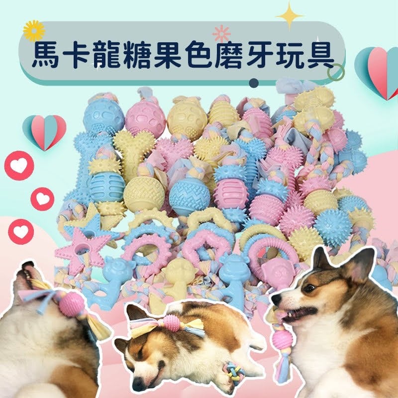 🦄️馬卡龍色✨ TPR玩具 狗狗玩具 磨牙玩具 寵物玩具 狗玩具 幼犬玩具 小狗玩具狗狗狗玩具球寵物玩具球狗啃咬玩具-細節圖8