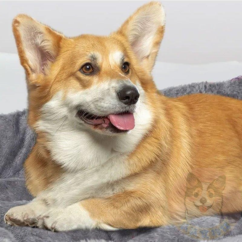 灰底毛絨窩💤 寵物窩 寵物床 狗窩 貓窩 寵物睡窩 狗床 貓床 寵物睡墊 貓咪窩 狗狗床 狗睡窩 窩 狗狗床睡窩沙發-細節圖2