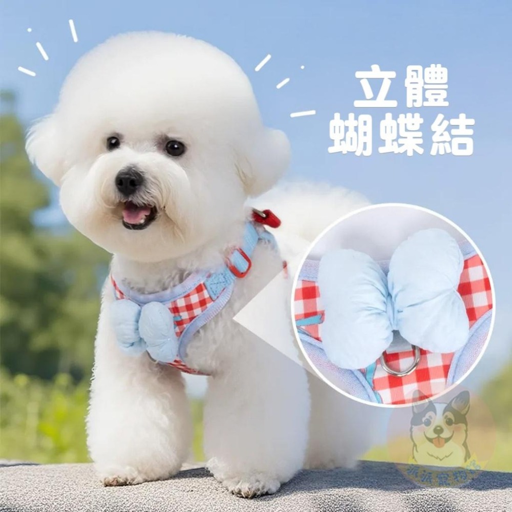 🎀大蝴蝶結胸背帶🎀 寵物胸背帶 狗狗胸背帶 貓咪胸背帶 狗胸背帶 貓胸背帶 幼犬胸背帶 小型犬胸背帶胸背狗胸背寵物背帶-細節圖2