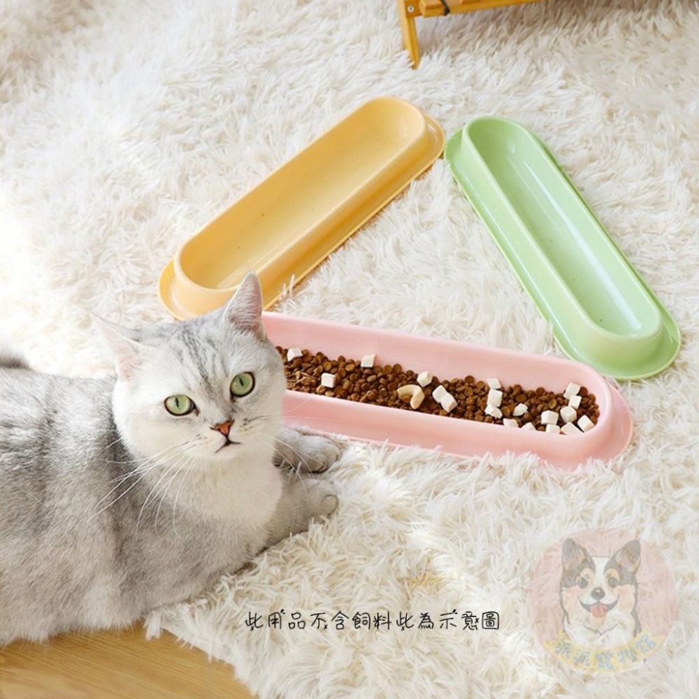 加長多貓碗👍 防蟻碗 貓碗 貓咪碗 寵物碗 長條碗 飼料碗 寵物用品 貓咪用品 貓用品 多貓家庭 餵食碗 幼貓用品碗-細節圖5