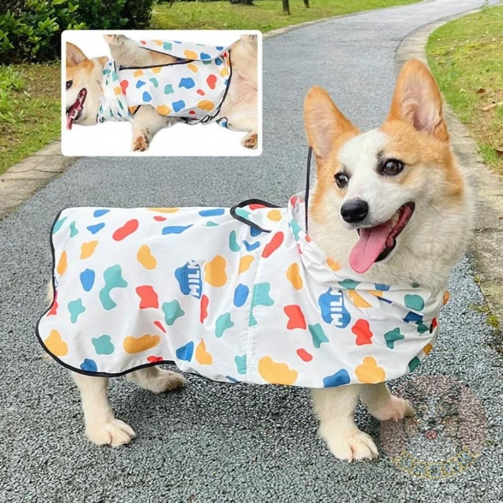 牛奶雨衣😍 法鬥雨衣 狗狗雨衣 狗狗 柯基雨衣 柴犬雨衣 狗雨衣 寵物雨衣 寵物用品 狗狗用品 狗用品 小狗雨衣 狗-細節圖2