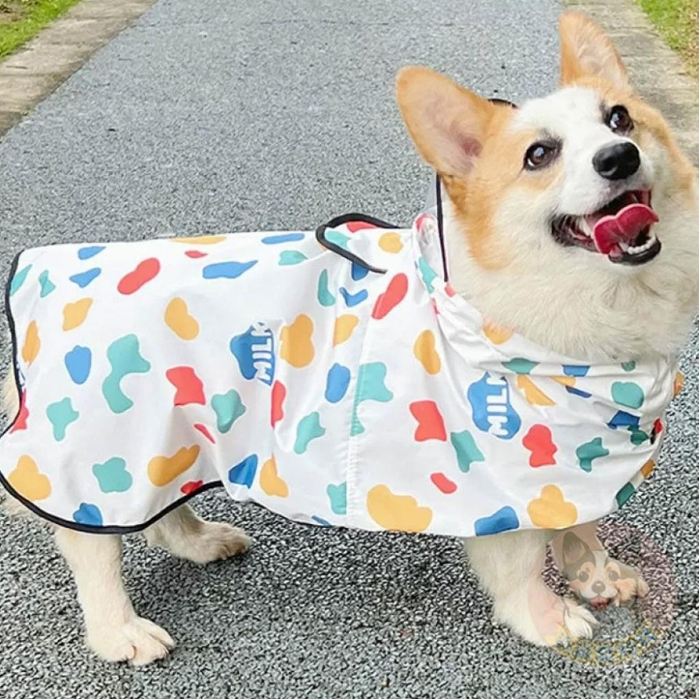 牛奶雨衣😍 法鬥雨衣 狗狗雨衣 狗狗 柯基雨衣 柴犬雨衣 狗雨衣 寵物雨衣 寵物用品 狗狗用品 狗用品 小狗雨衣 狗-細節圖5