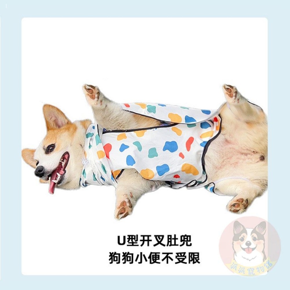 牛奶雨衣😍 法鬥雨衣 狗狗雨衣 狗狗 柯基雨衣 柴犬雨衣 狗雨衣 寵物雨衣 寵物用品 狗狗用品 狗用品 小狗雨衣 狗-細節圖6