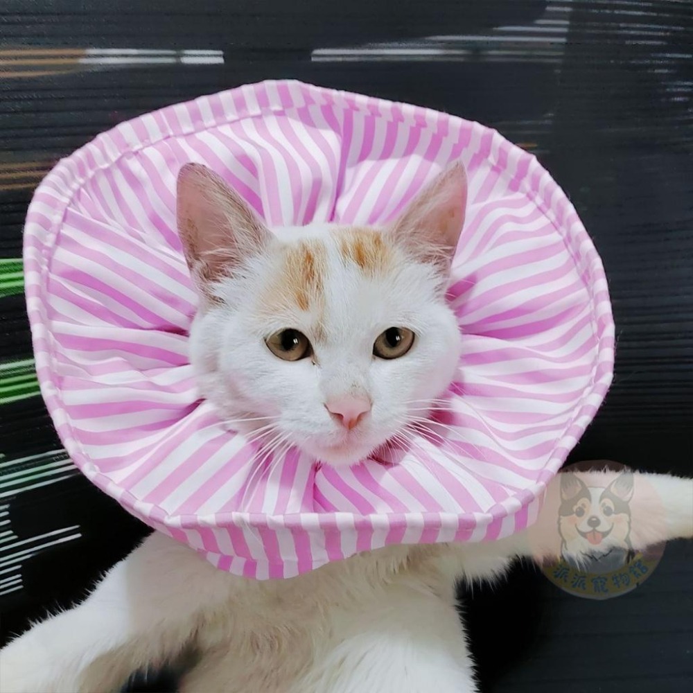 寵物條紋頭罩☘️ 防咬頭套 寵物頭套 狗狗頭套 狗頭套 貓頭套 貓咪頭套 伊莉莎白頭套 防抓防舔頭套羞恥甜甜圈寵物用品-細節圖2