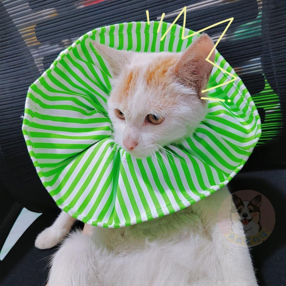 寵物條紋頭罩☘️ 防咬頭套 寵物頭套 狗狗頭套 狗頭套 貓頭套 貓咪頭套 伊莉莎白頭套 防抓防舔頭套羞恥甜甜圈寵物用品-細節圖4