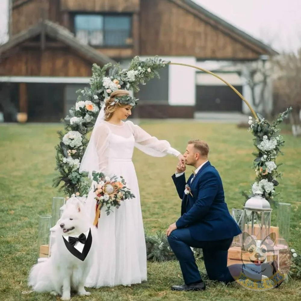 🎀西裝三角巾🎀 寵物領巾 狗狗領巾 貓咪領巾 寵物項圈 柯基柴犬兔子三角巾口水巾頸圈飾品小中大型犬配件圍巾狗圍兜兜婚禮-細節圖2