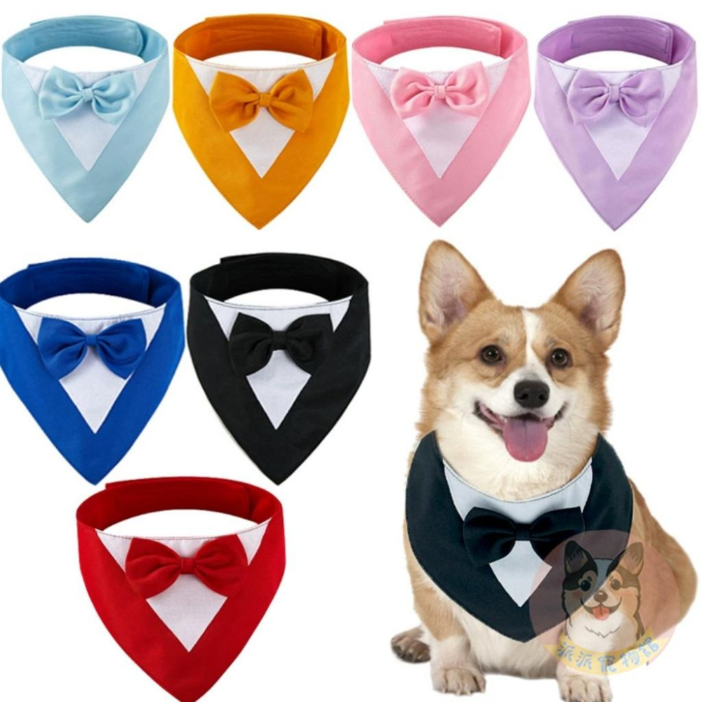 🎀西裝三角巾🎀 寵物領巾 狗狗領巾 貓咪領巾 寵物項圈 柯基柴犬兔子三角巾口水巾頸圈飾品小中大型犬配件圍巾狗圍兜兜婚禮-細節圖4